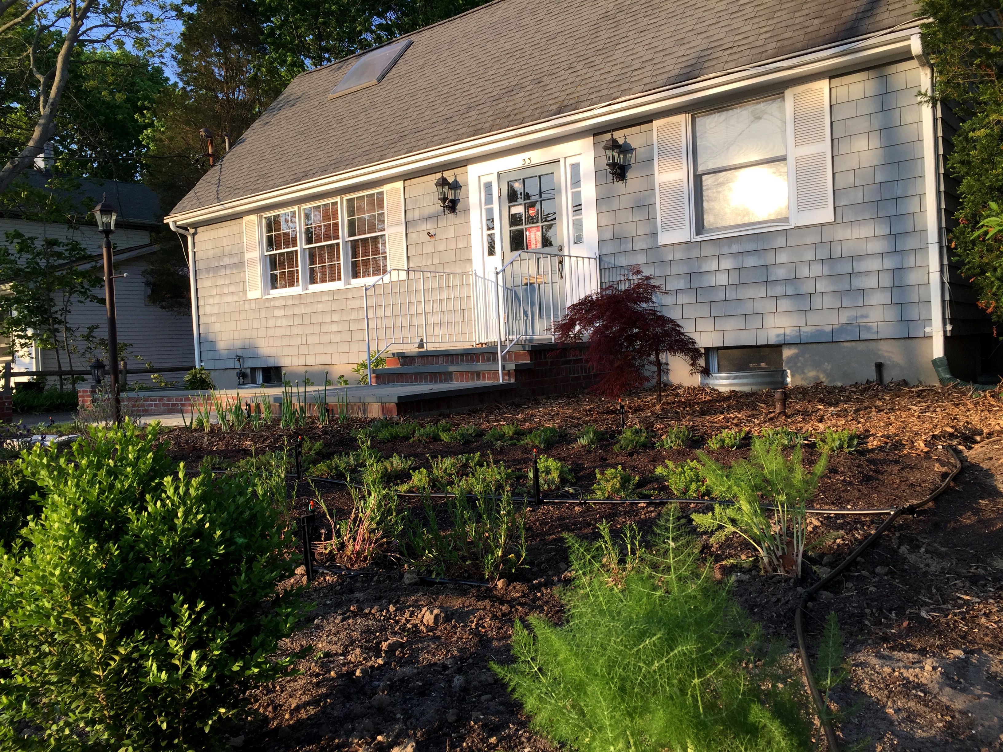 Dental Office Garden