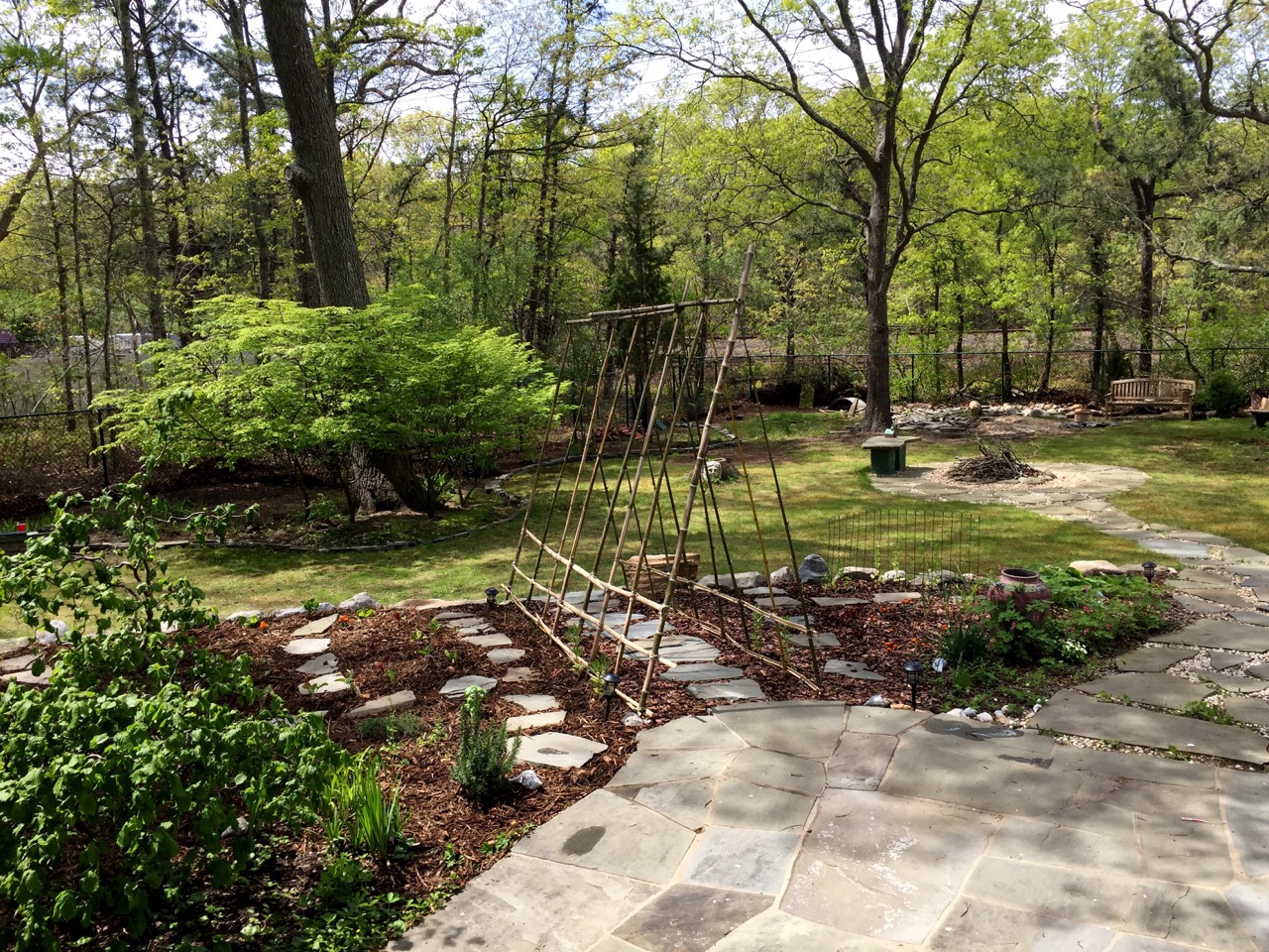 Image showing the back garden, growing vegetables and flowers.